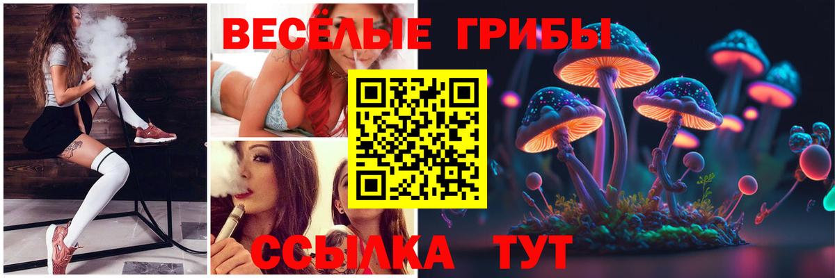 Галлюциногенные грибы Cubensis Снежинск