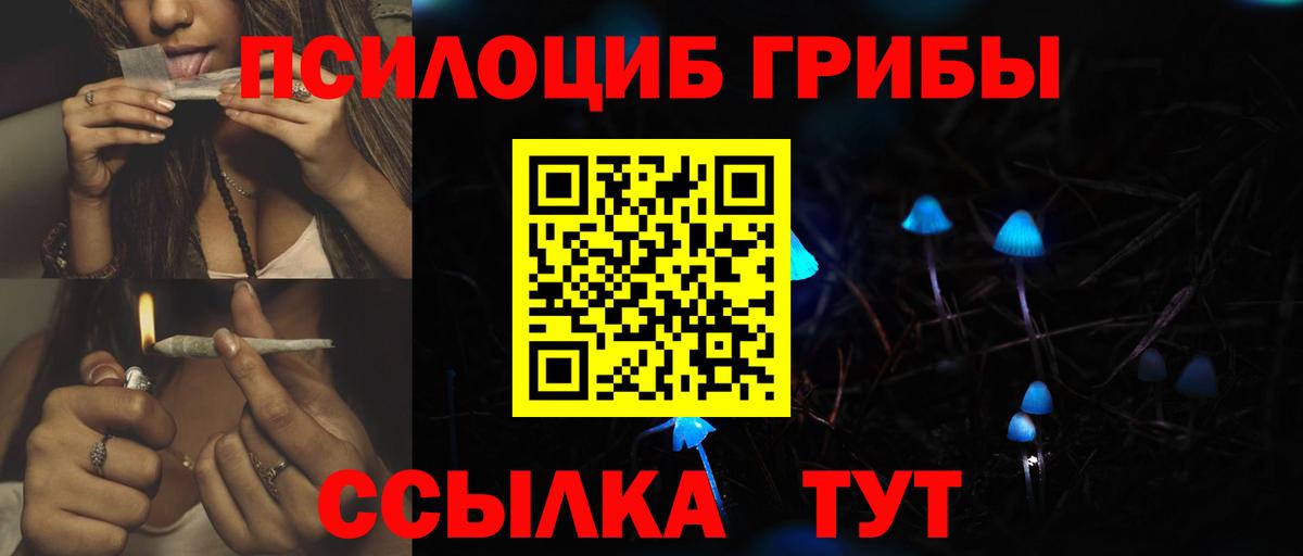 Снежинск  Галлюциногенные грибы Psilocybe  Вход с VPN 